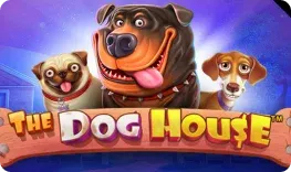 Moana Casino – The Dog House